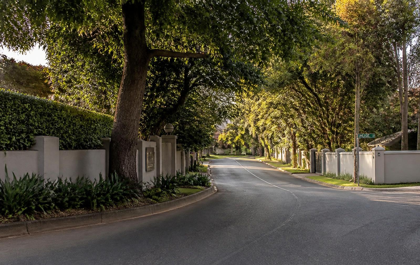 Leafy suburban street with garden walls in Durban North